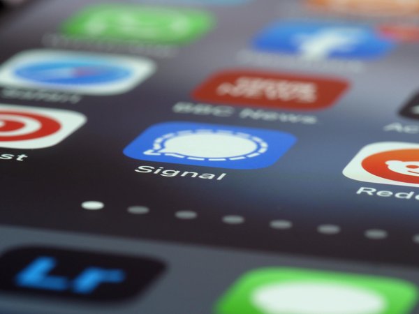 Elevate your brand with expert website design in london